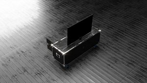 3D model Professional Flight Case
