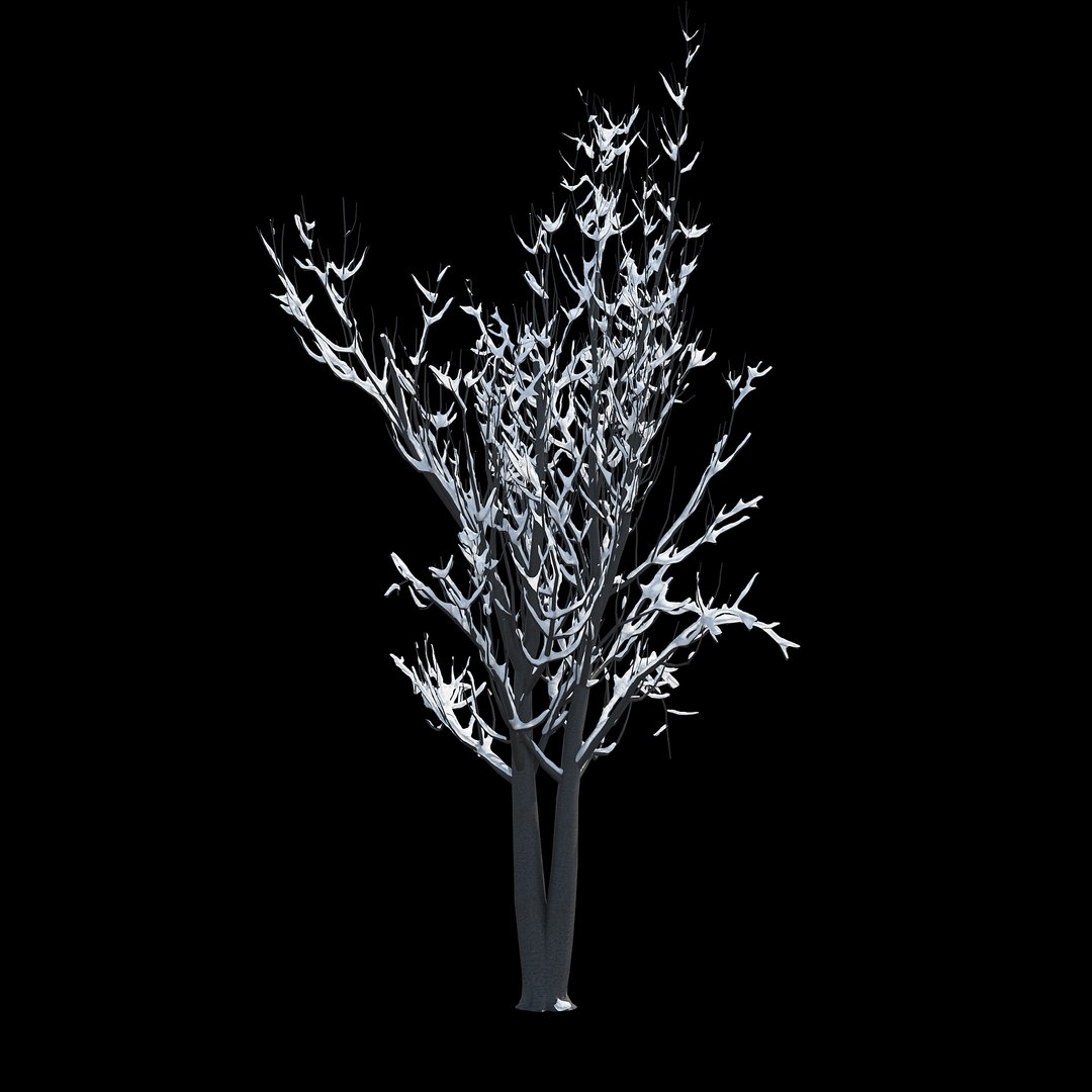 winter tree 024 3D model https://p.turbosquid.com/ts-thumb/QV/hAxkTz/0DnxnqsS/05copy/jpg/1513247619/1920x1080/fit_q87/673636a0d2d224658e4bdcb1d4e2c3eebfdb97dd/05copy.jpg