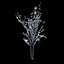 Winter Tree 024