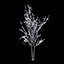Winter Tree 024