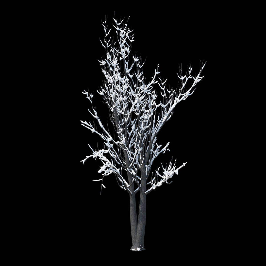 winter tree 024 3D model https://p.turbosquid.com/ts-thumb/QV/hAxkTz/1RfeW1mB/winter_tree_turntable_0000copy/jpg/1513247633/1920x1080/turn_fit_q99/cd4e0ecffab9697a3c9f9a9aa00825b5ad1ea475/winter_tree_turntable_0000copy-1.jpg