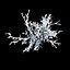 Winter Tree 024