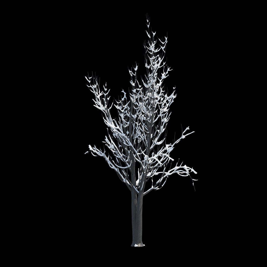 winter tree 024 3D model https://p.turbosquid.com/ts-thumb/QV/hAxkTz/1cBEffV7/06copy/jpg/1513247619/1920x1080/fit_q87/2ccd9ee81644a07d4fa3cc39d6ba65c78c9858f9/06copy.jpg