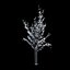 Winter Tree 024