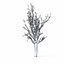Winter Tree 024