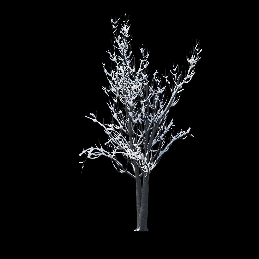winter tree 024 3D model https://p.turbosquid.com/ts-thumb/QV/hAxkTz/8kDJrCKR/02copy/jpg/1513247619/1920x1080/fit_q87/91445d2d7ab8667e4a0664264780d341482a75b6/02copy.jpg