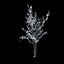 Winter Tree 024
