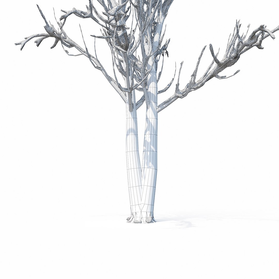 winter tree 024 3D model https://p.turbosquid.com/ts-thumb/QV/hAxkTz/9gNmrORI/w_012copy/jpg/1513247619/1920x1080/fit_q87/166066abfd427c686fc8cd74fb33197018e8c5eb/w_012copy.jpg