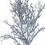 Winter Tree 024