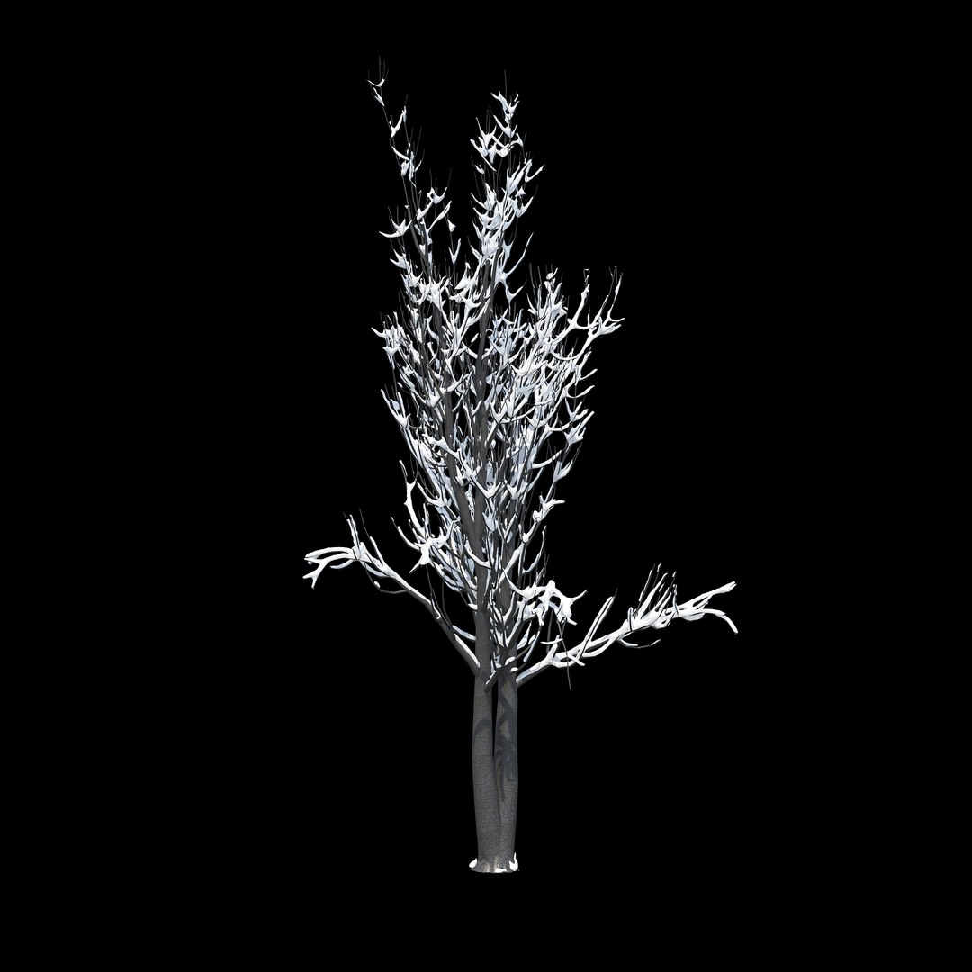 winter tree 024 3D model https://p.turbosquid.com/ts-thumb/QV/hAxkTz/ErenPDYq/08copy/jpg/1513247619/1920x1080/fit_q87/a36c454e7e49da4463c98e1792ba597a2e371178/08copy.jpg
