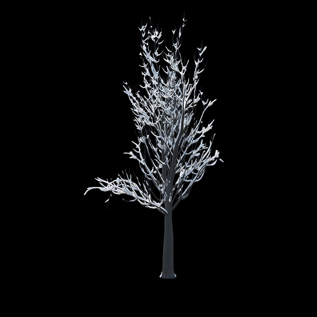 winter tree 024 3D model https://p.turbosquid.com/ts-thumb/QV/hAxkTz/IDIzSfGz/03copy/jpg/1513247619/1920x1080/fit_q87/eb23bf2d4205cca8cf13748e952ae1b5c0a80c62/03copy.jpg