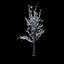 Winter Tree 024