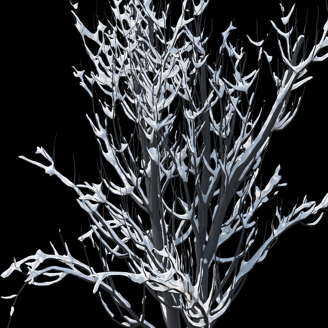 winter tree 024 3D model https://p.turbosquid.com/ts-thumb/QV/hAxkTz/SkCxLo8q/011copy/jpg/1513247619/1920x1080/fit_q87/0e6158f4b9a946bbe3a112708563163808238b70/011copy.jpg