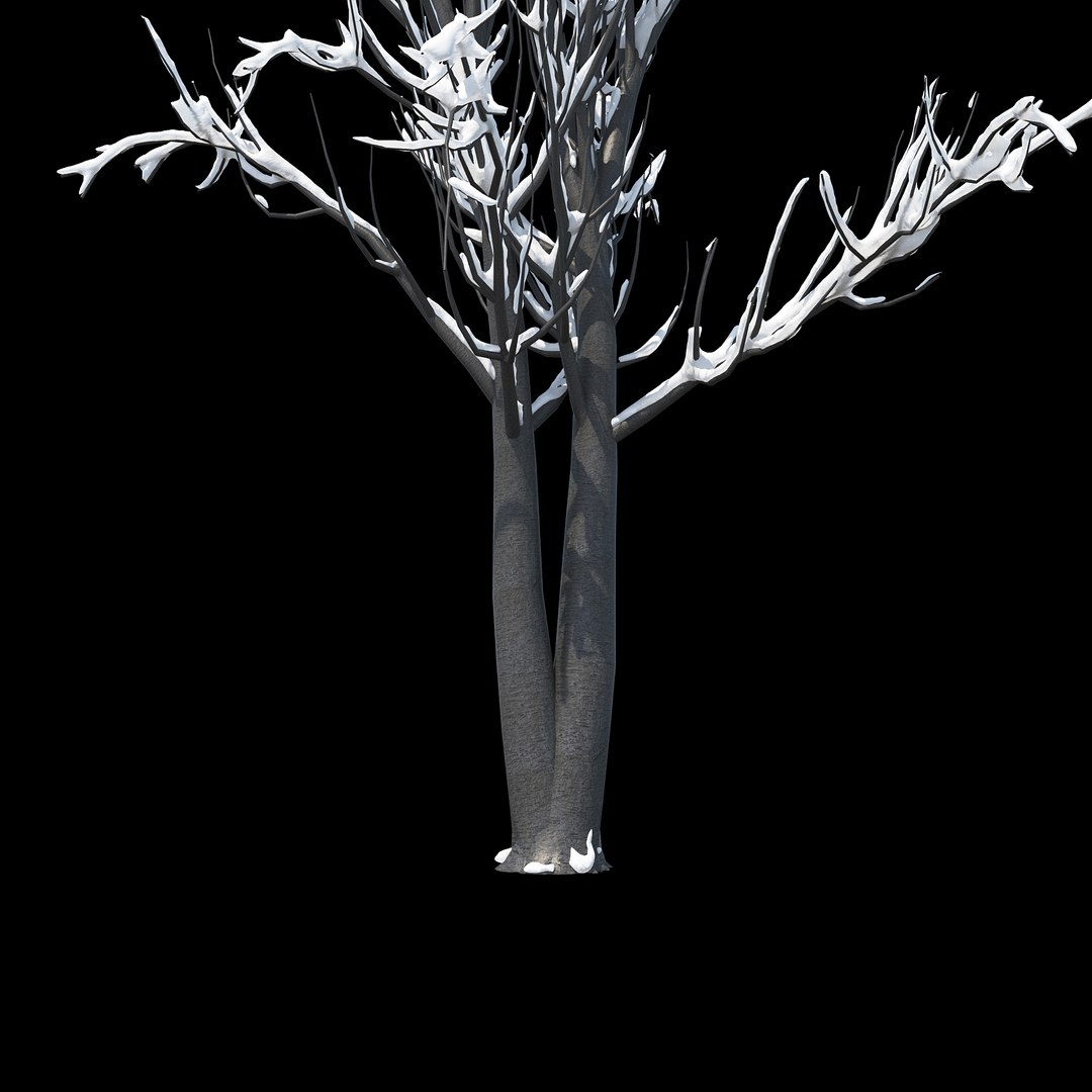 winter tree 024 3D model https://p.turbosquid.com/ts-thumb/QV/hAxkTz/ZGpL4eM5/012copy/jpg/1513247619/1920x1080/fit_q87/091c6d028390f15d6bbfc65e80043304c5107c65/012copy.jpg