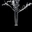 Winter Tree 024