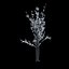 Winter Tree 024