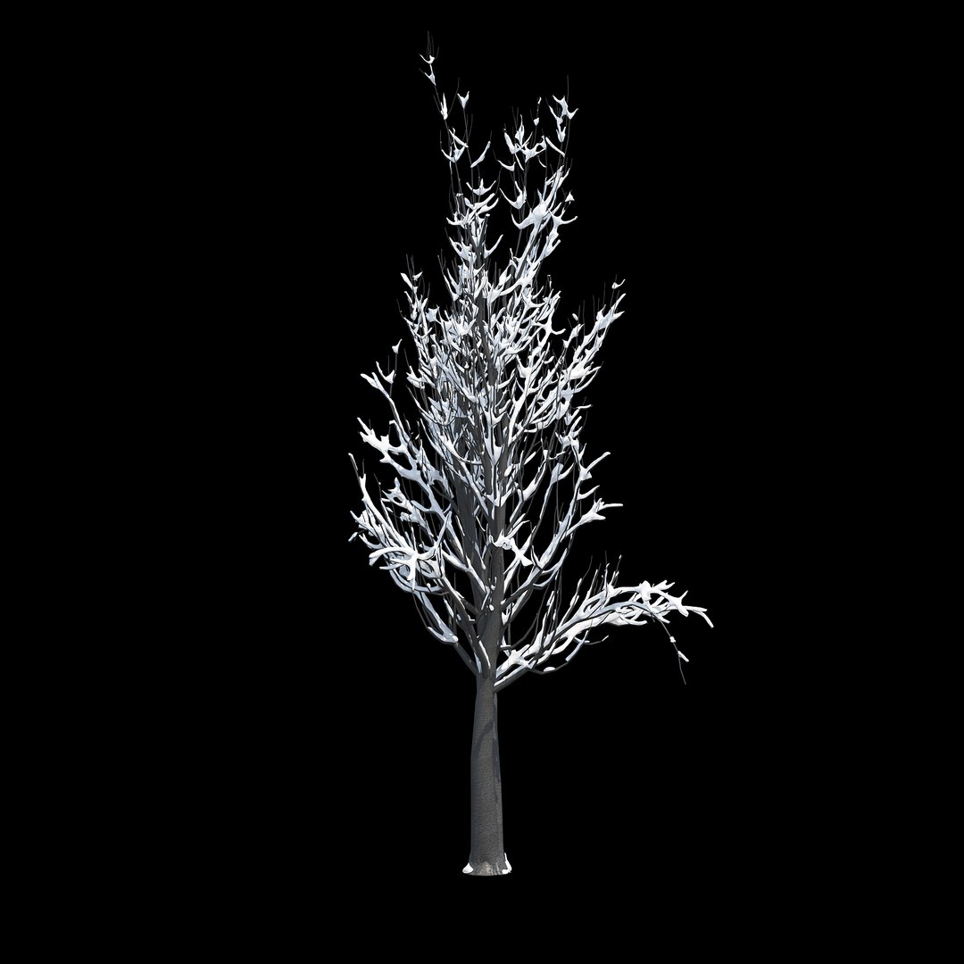 winter tree 024 3D model https://p.turbosquid.com/ts-thumb/QV/hAxkTz/corbOVPE/07copy/jpg/1513247619/1920x1080/fit_q87/bba5d77e127edafb7a8310fc0495c81970718813/07copy.jpg