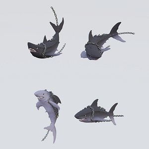 Shark