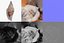 15 Collezione di conchiglie scansionate in 3D 2