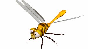 dragonfly