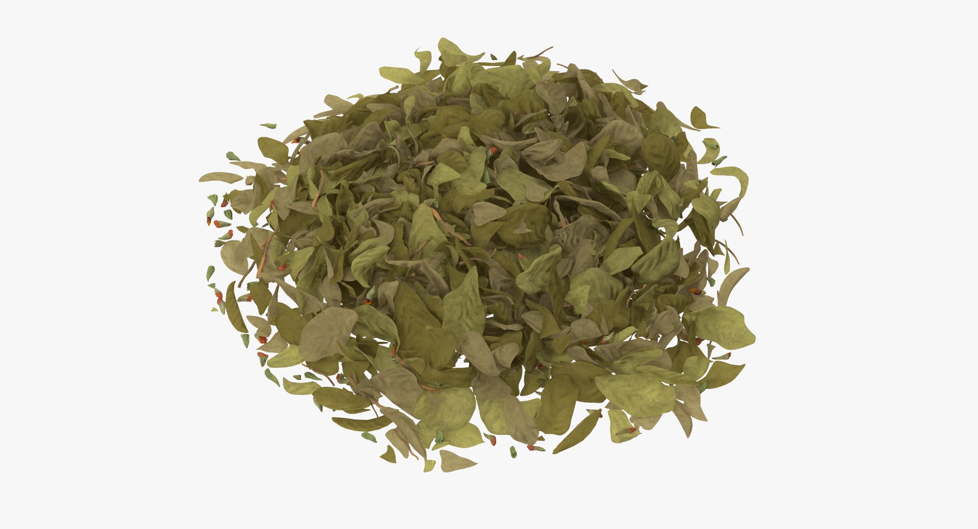 chopped dried oregano 3d model https://p.turbosquid.com/ts-thumb/QW/LPr6Fv/6SLZgHwC/chopped_dried_oregano_thumbnail_0000/jpg/1458303024/1920x1080/fit_q87/eaf8a488bdc426c75f8a3016ea4c24e9967d1f47/chopped_dried_oregano_thumbnail_0000.jpg