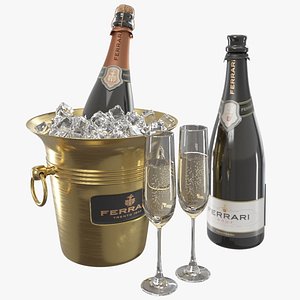 Champagne Set
