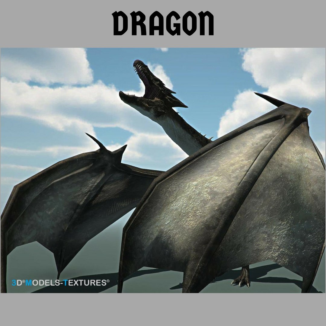 Dragon 3D Model - TurboSquid 1208453