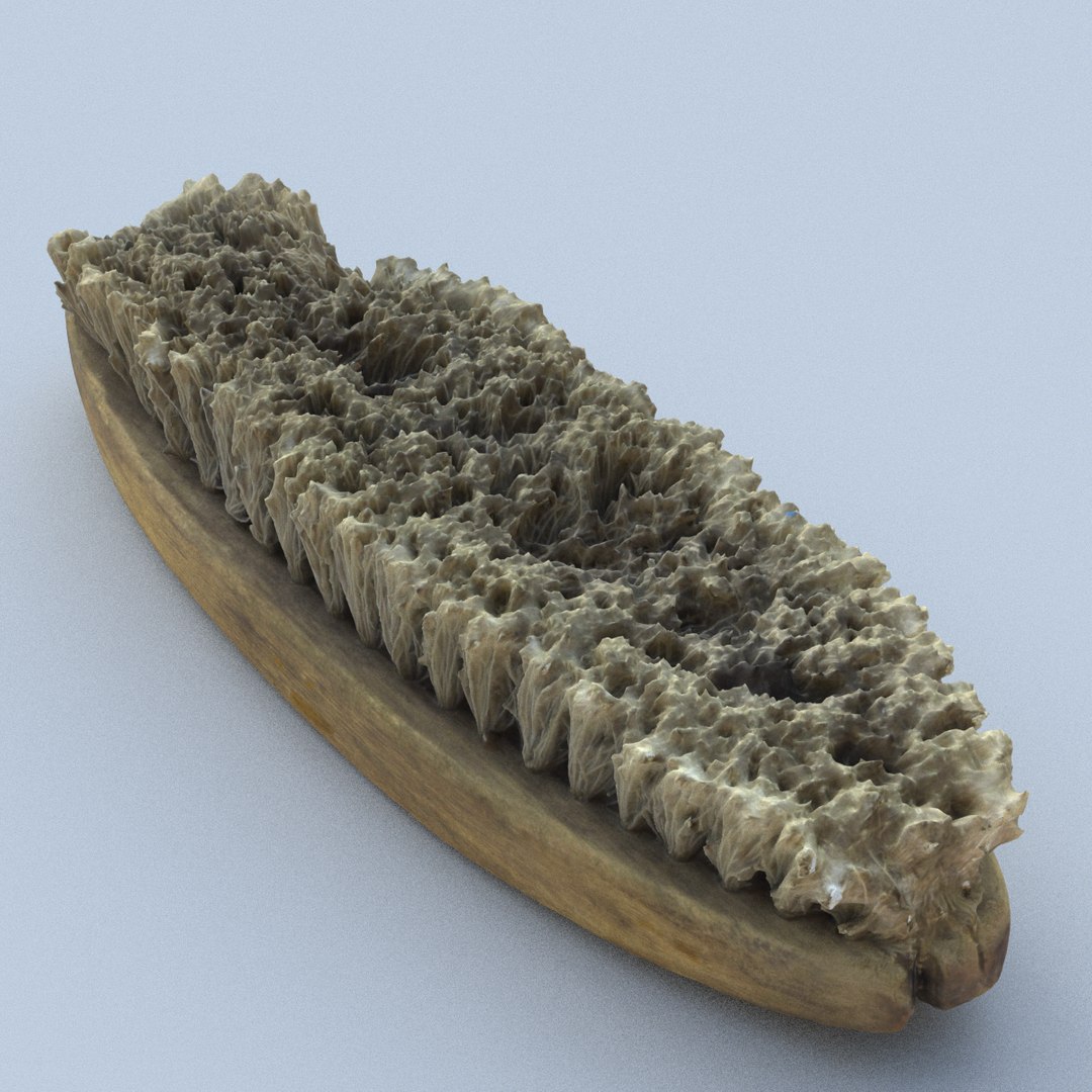 3D old tools model https://p.turbosquid.com/ts-thumb/QW/lZ0KyO/yh69HMzB/projects.00012/png/1525408593/1920x1080/fit_q87/e79be1ebac77e98c56d46c51956080e5037ef45f/projects.00012.jpg