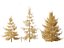 Larix decidua - European larch