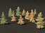 Larix decidua - European larch