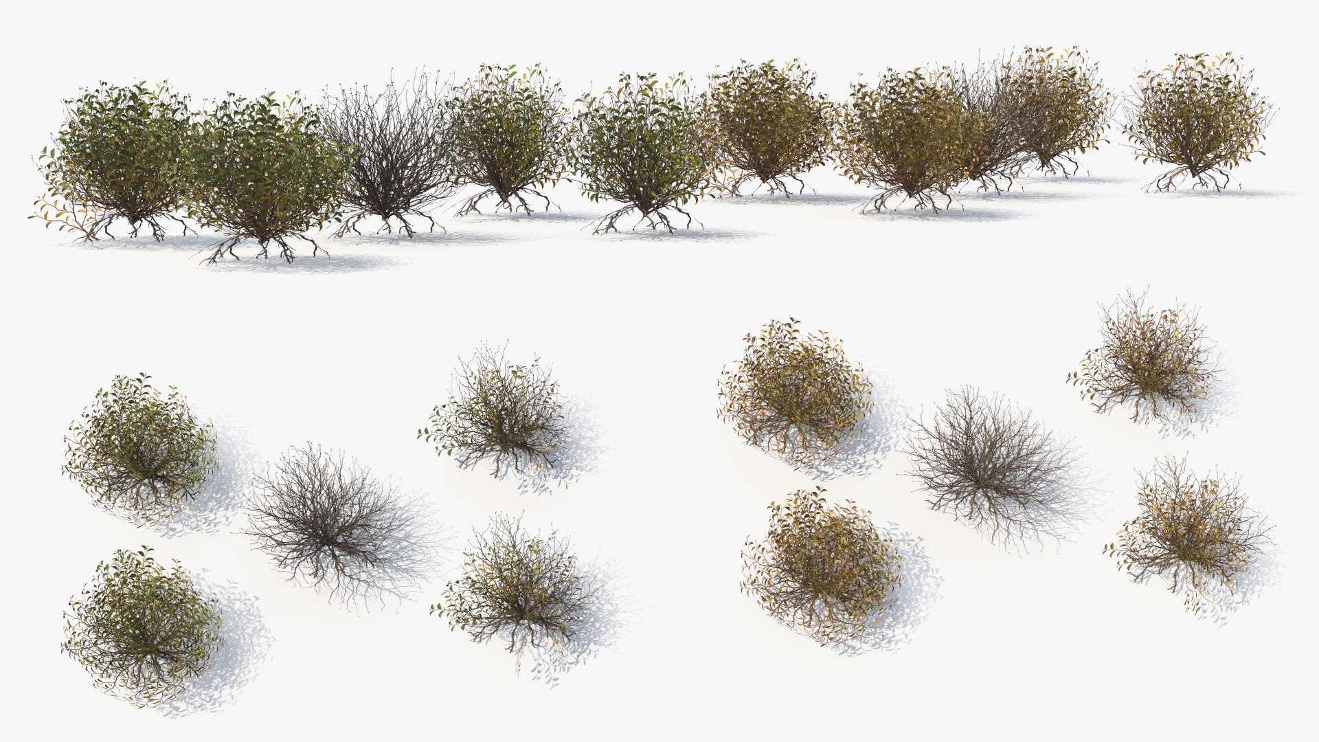 Wild Brush Vegetation with Dry Shrubs Set Low Poly 3D https://p.turbosquid.com/ts-thumb/QX/25yqog/0j/wild_brush_vegetation_with_dry_shrubs_set_low_poly_005/jpg/1778633357/1920x1080/fit_q87/afe1f05e8992fdf33bd6256ebebadecf39e74067/wild_brush_vegetation_with_dry_shrubs_set_low_poly_005.jpg
