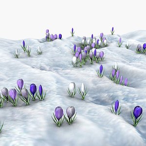 Crocuses in snow 3D model