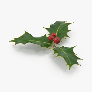Holly
