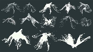 fluid 3D model