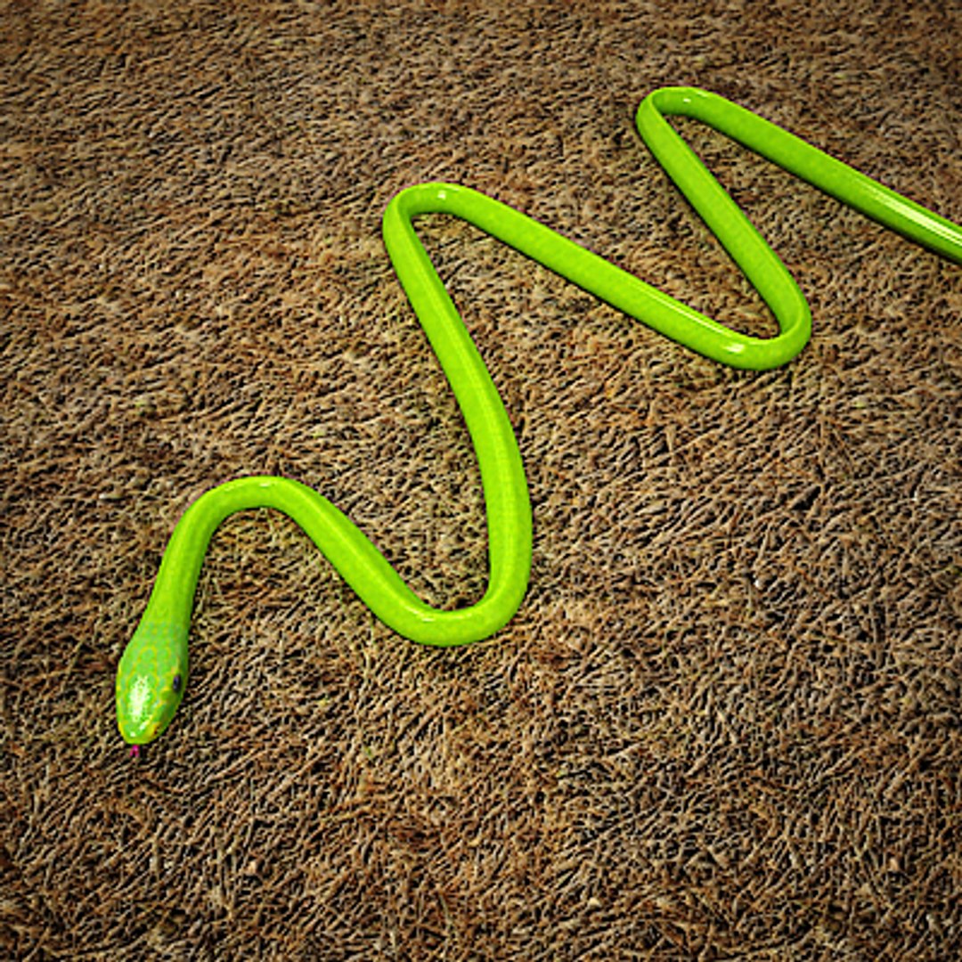3d Green Mamba Snakes