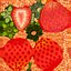 Cartoon Half Cut Strawberry
