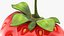 Cartoon Half Cut Strawberry