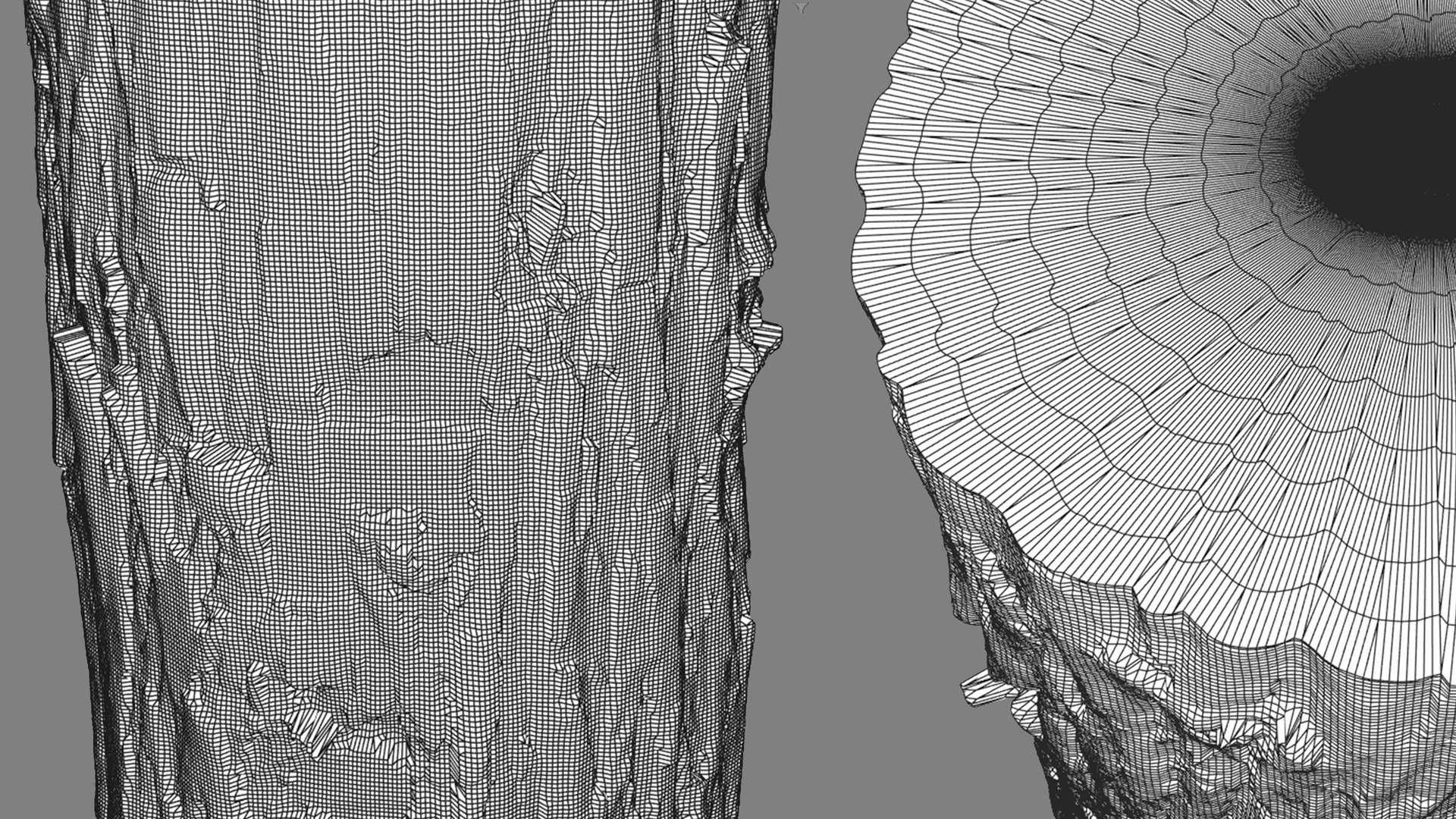 3D Chinese Tallow tree trunk tiled PBR https://p.turbosquid.com/ts-thumb/QX/TIApYx/VK/chinese_tallow_complete28/jpg/1777542250/1920x1080/fit_q87/eba4ead72bf61869af2b61f3c5d001ddcd2fe014/chinese_tallow_complete28.jpg