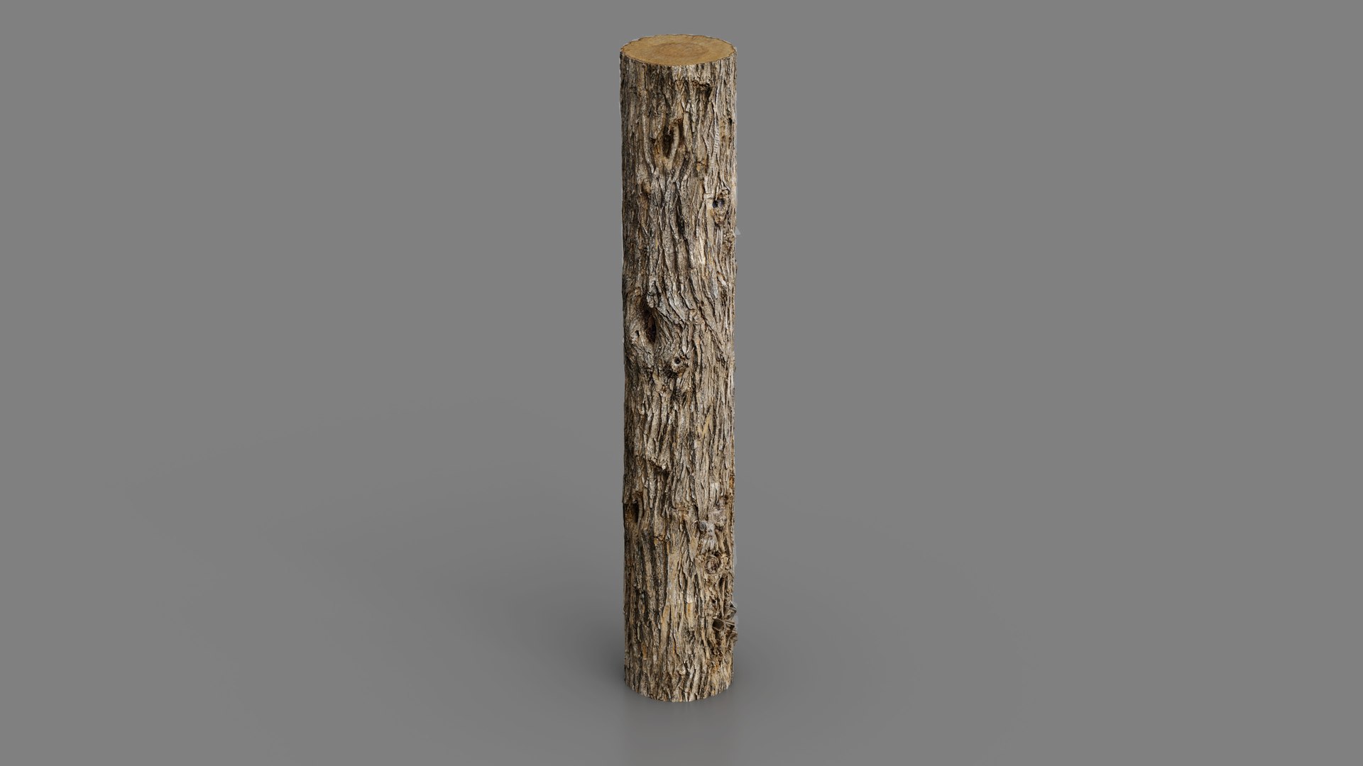 3D Chinese Tallow tree trunk tiled PBR https://p.turbosquid.com/ts-thumb/QX/TIApYx/rW/chinese_tallow_complete33/jpg/1777542230/1920x1080/fit_q87/def983b0df669d763a09f3fbd9fbd745f1ec760e/chinese_tallow_complete33.jpg