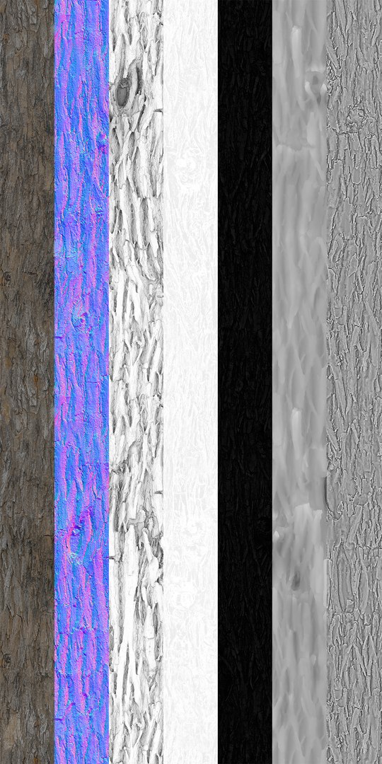 3D Chinese Tallow tree trunk tiled PBR https://p.turbosquid.com/ts-thumb/QX/TIApYx/wT/chinese_tallow_tiled01_09/jpg/1777542236/1920x1080/fit_q87/1fbb113f9f7eb494faef2bd8ff39372c238e927a/chinese_tallow_tiled01_09.jpg
