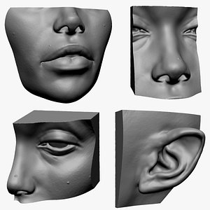 3D Lip Ear Eye Nose
