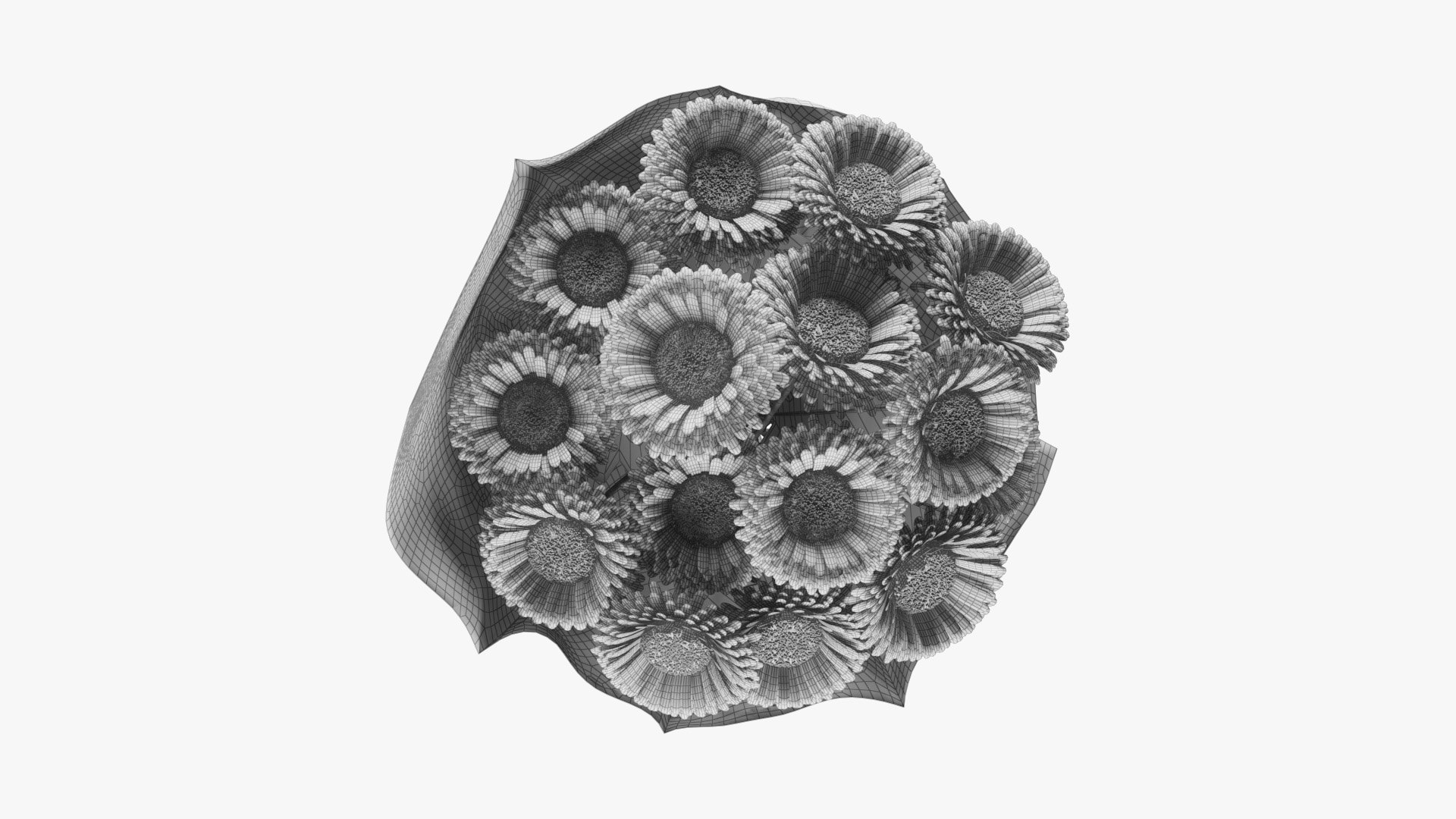 3D Gerbera Bouquet 03 model https://p.turbosquid.com/ts-thumb/QX/wbndte/4a/wire03/jpg/1706044478/1920x1080/fit_q87/614068d604f345f815d25e296a2b3ee352ddd26e/wire03.jpg