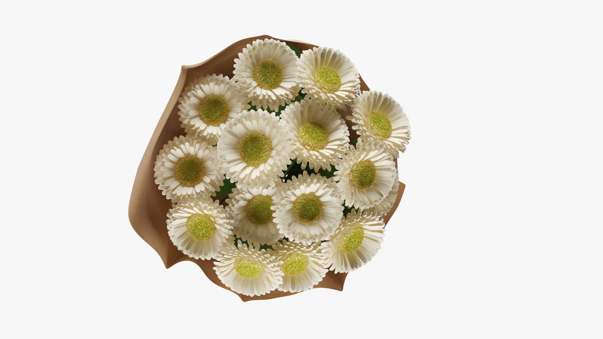 3D Gerbera Bouquet 03 model https://p.turbosquid.com/ts-thumb/QX/wbndte/Mo/z05/jpg/1706044476/1920x1080/fit_q87/d7bcd1d427e9515e5451067a88d39d4a86aa6e2e/z05.jpg