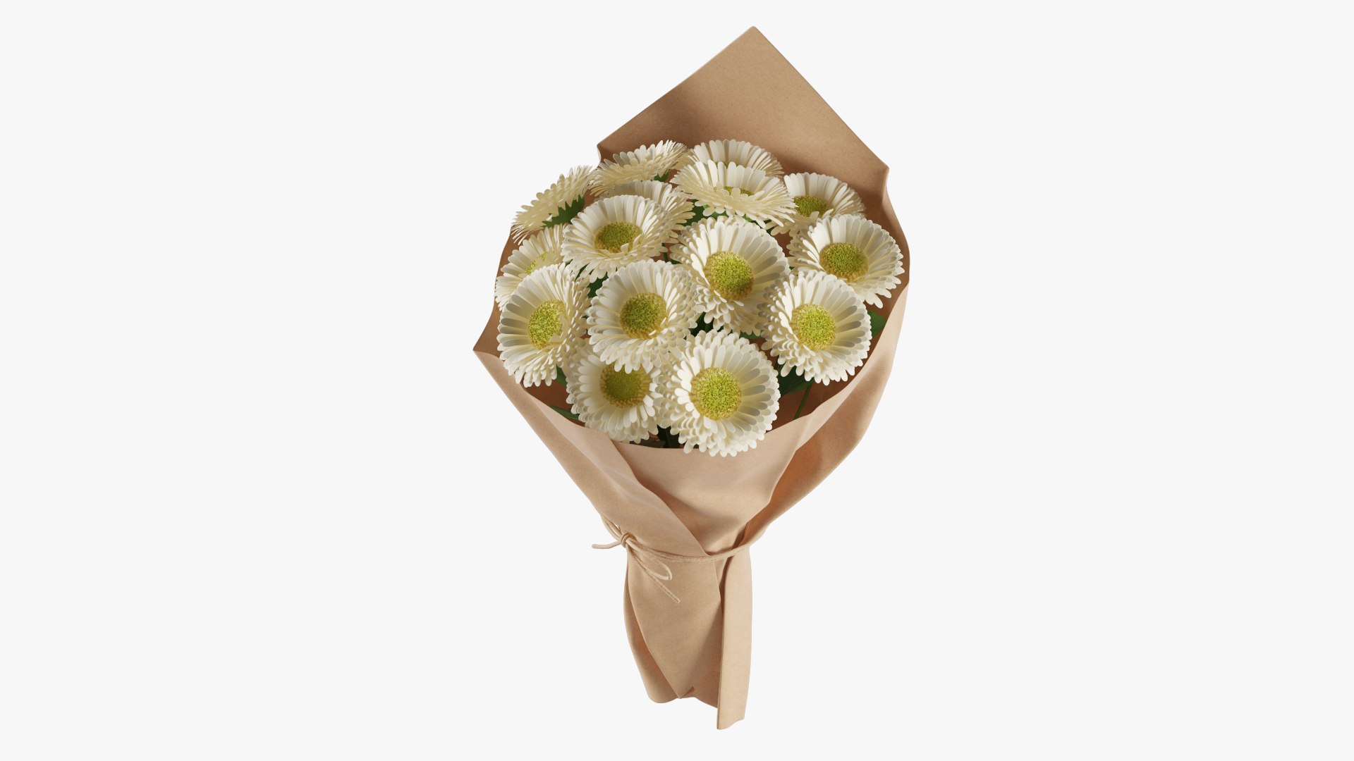 3D Gerbera Bouquet 03 model https://p.turbosquid.com/ts-thumb/QX/wbndte/nP/z04/jpg/1706044475/1920x1080/fit_q87/a3915777dc9e86fd4aede943fe66e7b1b000ec7a/z04.jpg