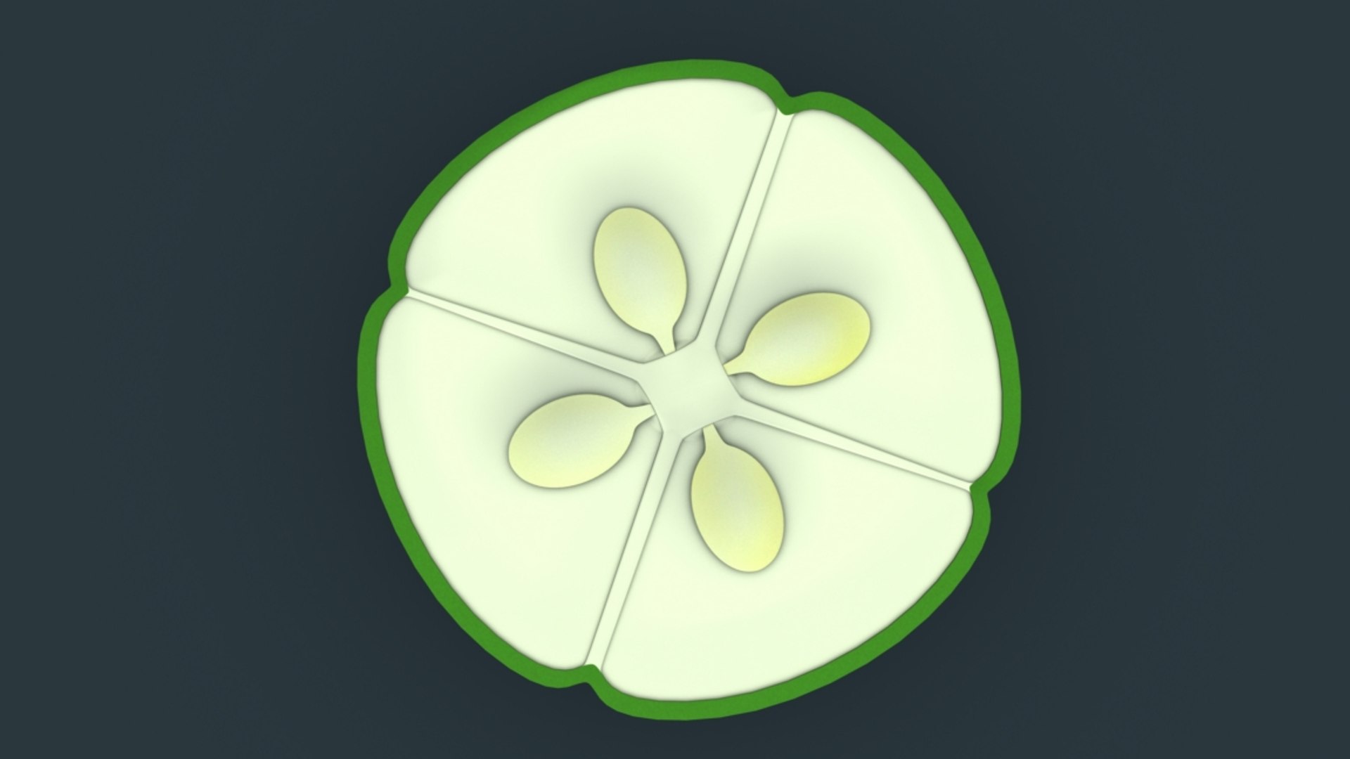 tetralocular ovary model https://p.turbosquid.com/ts-thumb/QX/weT2oG/mndcsGB8/b1425dtetralocularovary_3/jpg/1521009956/1920x1080/fit_q87/5015d21a8a27194298d0e250ddda2c36415c1a43/b1425dtetralocularovary_3.jpg