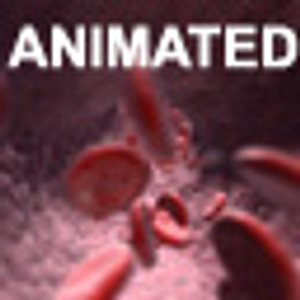 Blood flow - animated scene