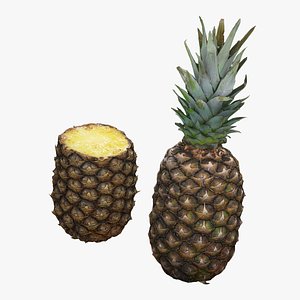 Pineapples 3D model