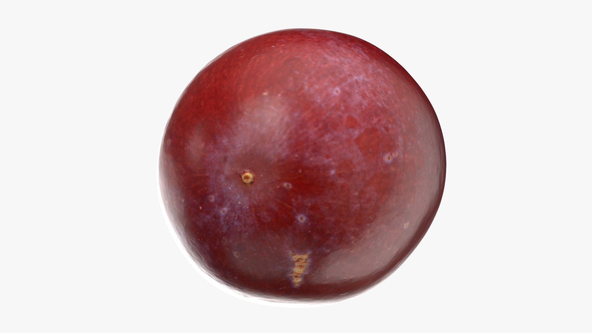 Grape 01 3D model https://p.turbosquid.com/ts-thumb/QY/JdjVLB/70/grape01_0010/png/1752838543/1920x1080/fit_q87/04de11eb6f49539d8b94aa93824e83989a014e1c/grape01_0010.jpg