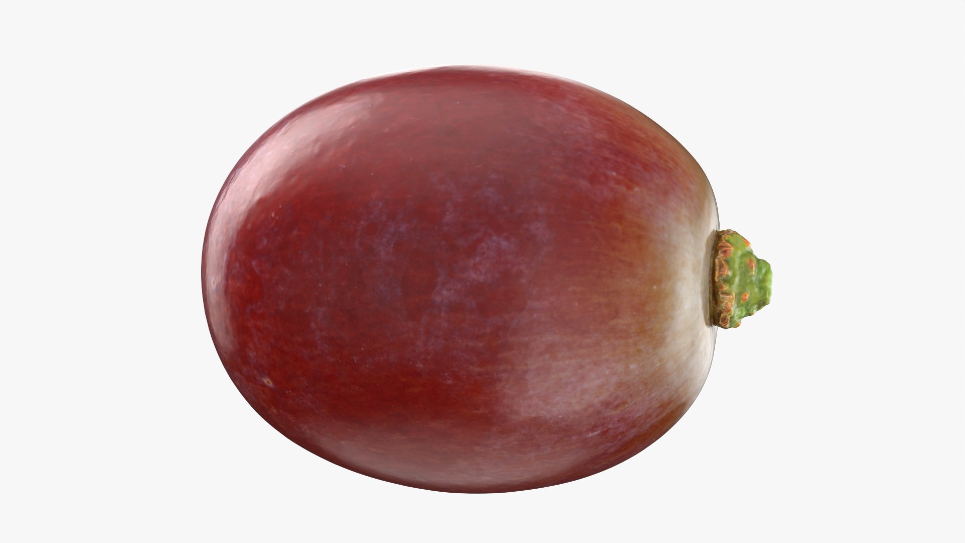 Grape Collection 2 model https://p.turbosquid.com/ts-thumb/QY/JdjVLB/9E/grape01_0001/png/1787030875/1920x1080/fit_q87/b825933e6c55cd066c41063ff165070f791b1431/grape01_0001.jpg