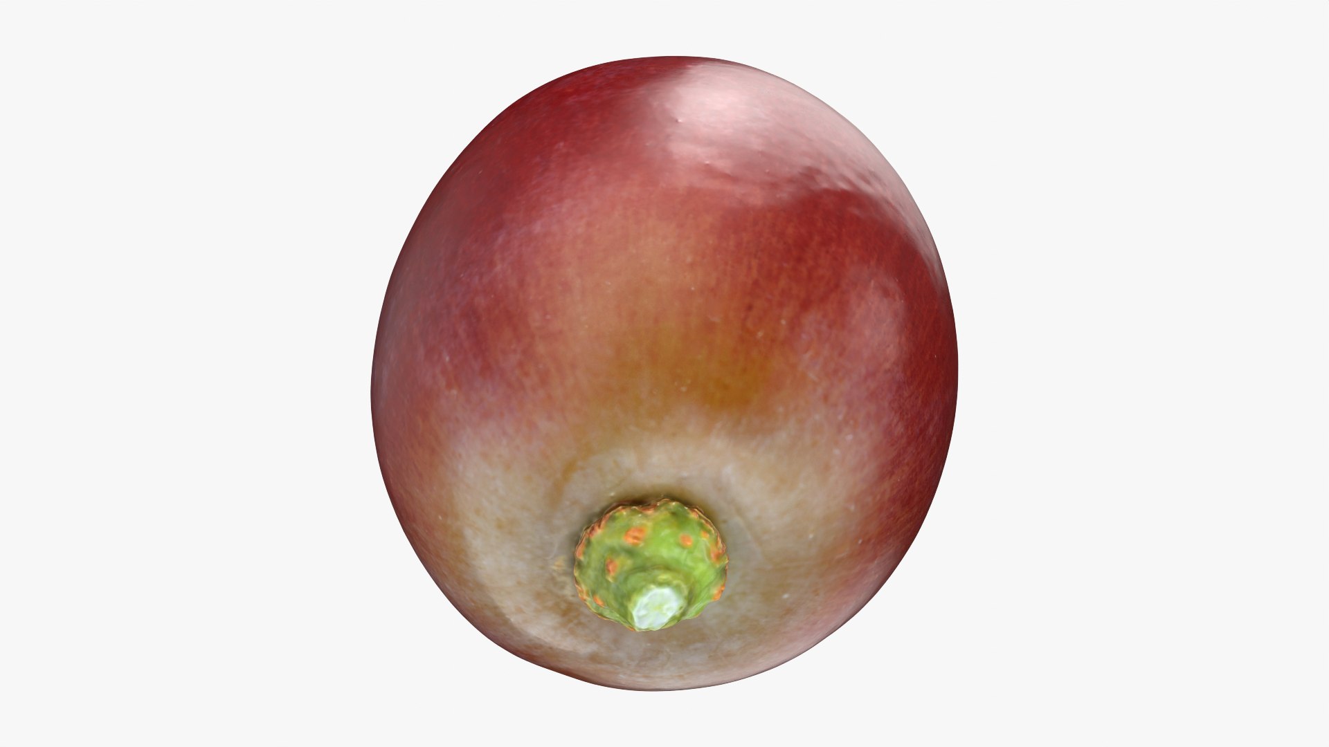 Grape 01 3D model https://p.turbosquid.com/ts-thumb/QY/JdjVLB/IG/grape01_0004/png/1752838538/1920x1080/fit_q87/b89885884f2d720747d1cc1237a6c4aa60bb7288/grape01_0004.jpg